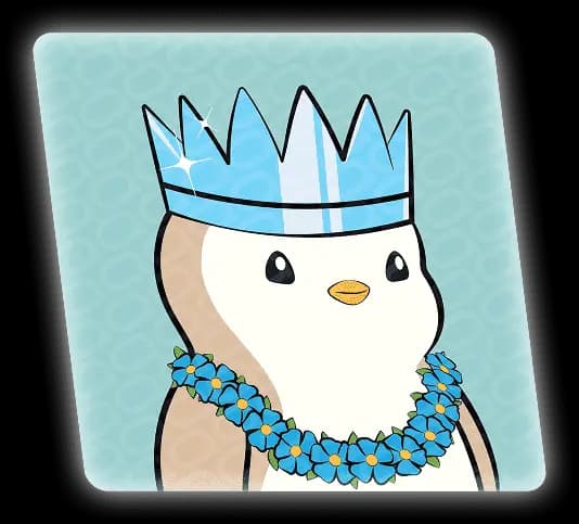 First Section Card 3